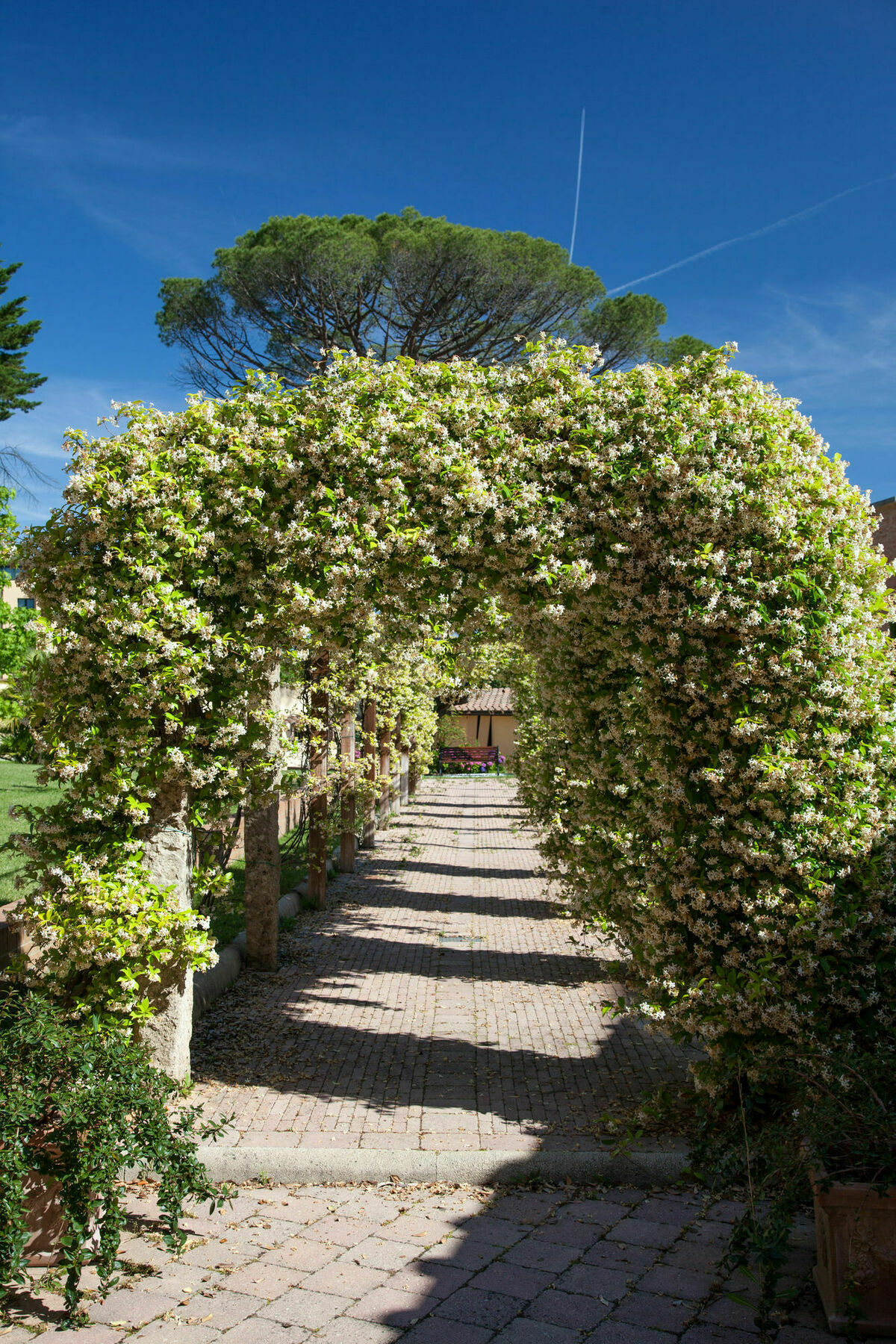 Villa Borri คาสเชียนา แตร์เม ภายนอก รูปภาพ